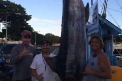 345lb-Blue-Marlin-1