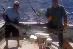 130lb-Striped-Marlin-1