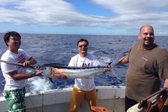 Striped-Marlin-1