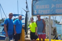 Striped-Marlin-2